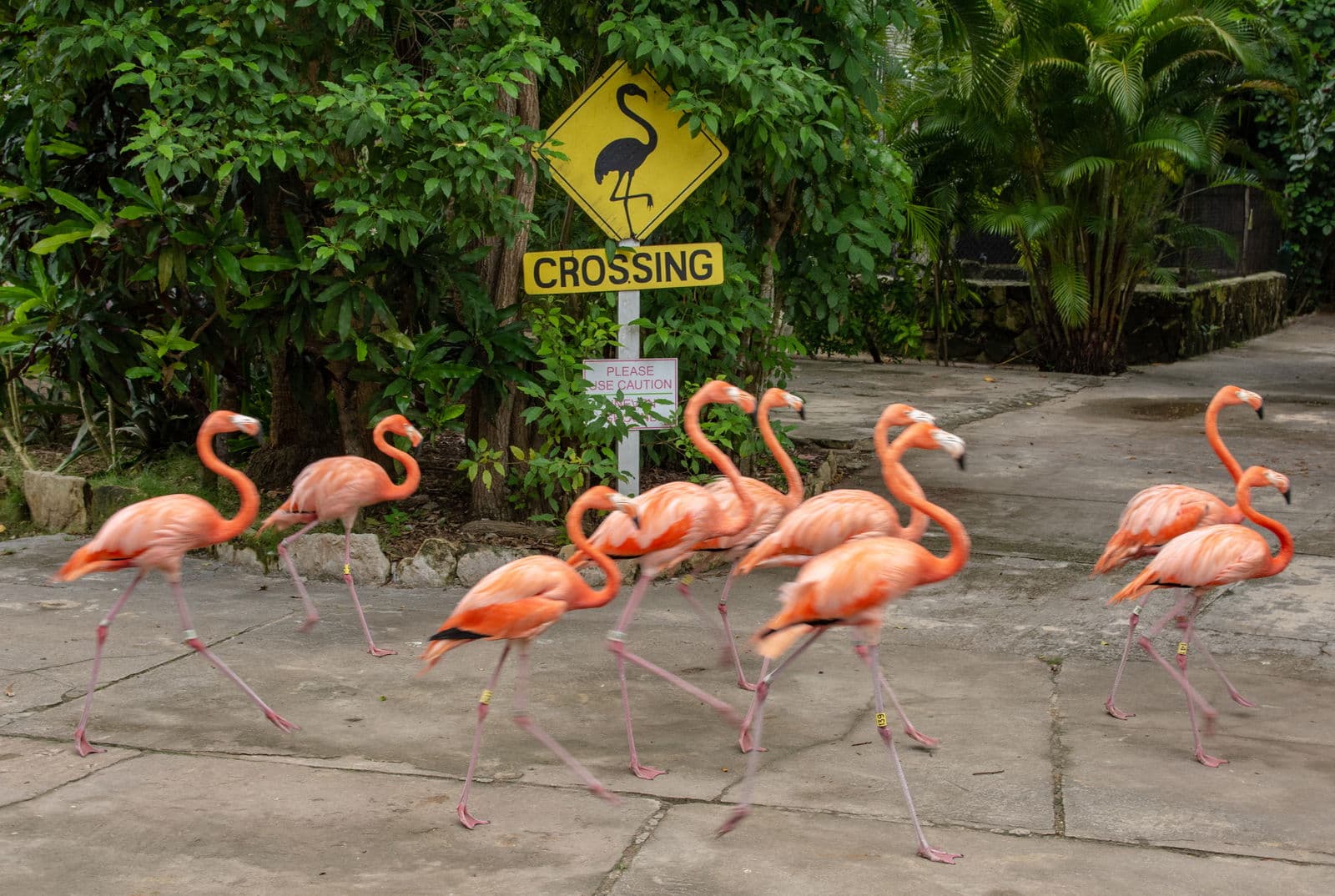 Great Inagua Island (Man of War Bay), Bahamas